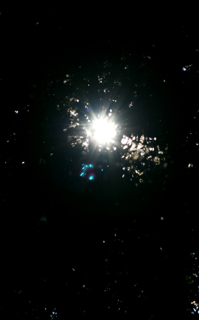 d0010900_21135672.jpg