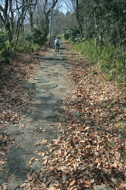 f0083400_2293269.jpg