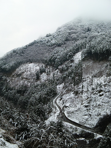 d0102007_10221686.jpg
