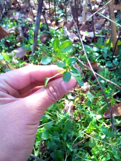 f0144707_20183615.jpg