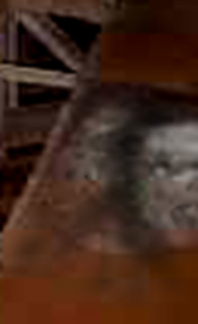 e0103408_1449196.jpg