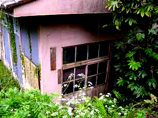 e0103408_1504538.jpg