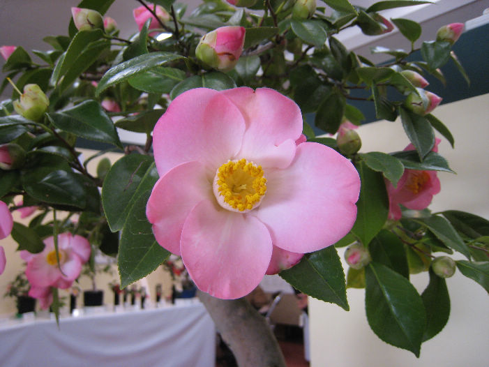 d0154609_1065910.jpg