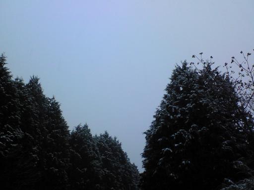c0097620_20245991.jpg