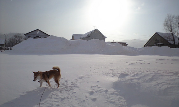 e0227023_092497.jpg