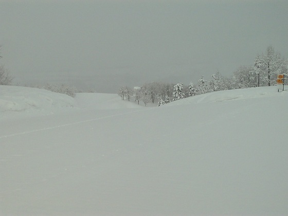 b0199924_1959051.jpg