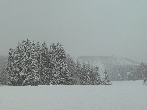 b0199924_2011614.jpg