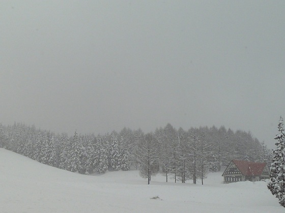 b0199924_2012614.jpg