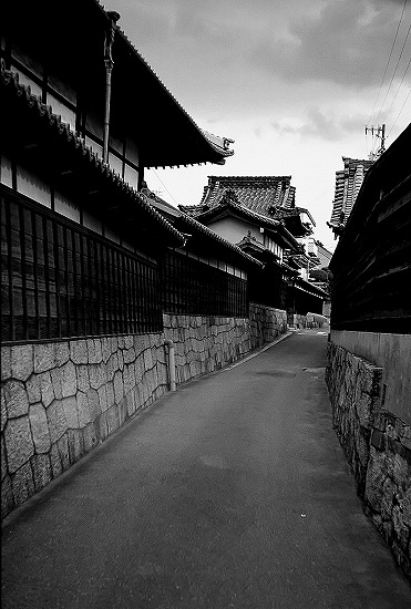 d0001533_20362875.jpg
