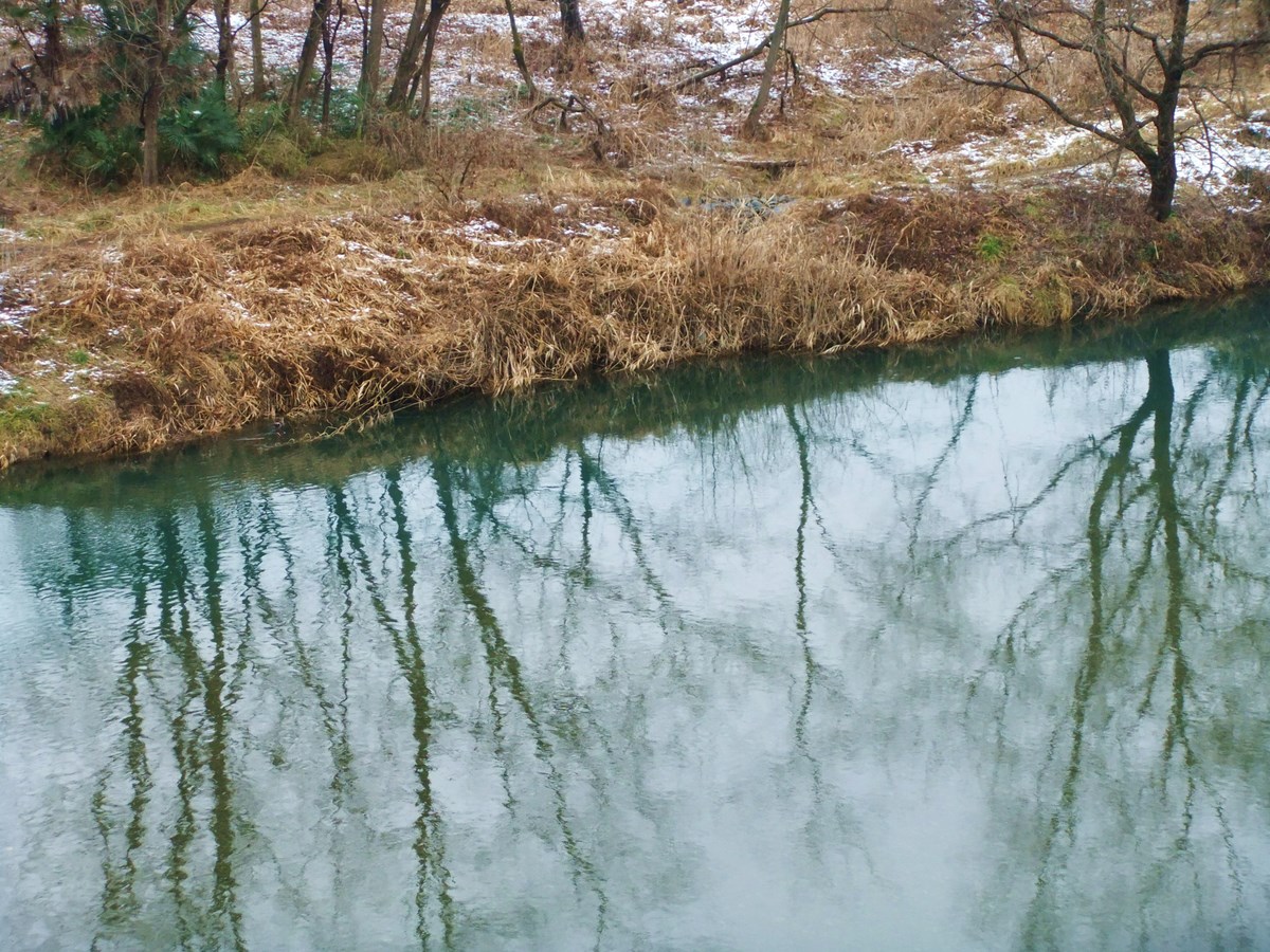 e0206242_15354781.jpg