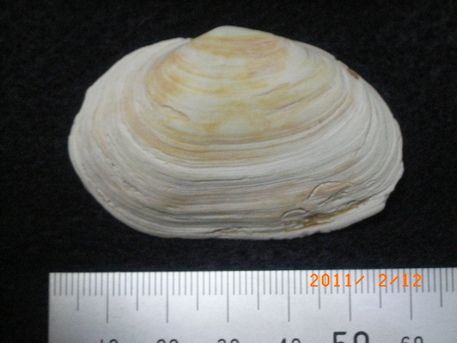 a0157451_2012249.jpg