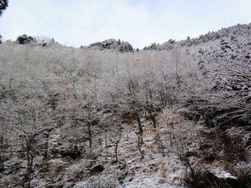 c0179351_1164540.jpg