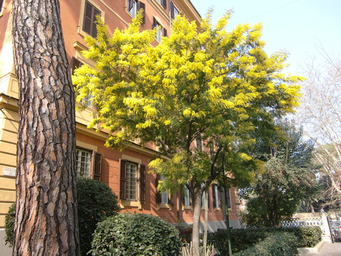 c0206352_731727.jpg