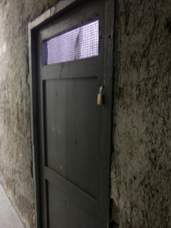 c0206352_748856.jpg