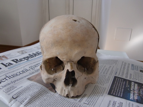 c0206352_852114.jpg