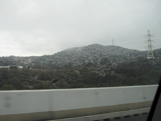 d0031853_147552.jpg