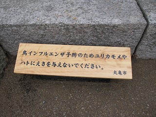 d0031853_251351.jpg