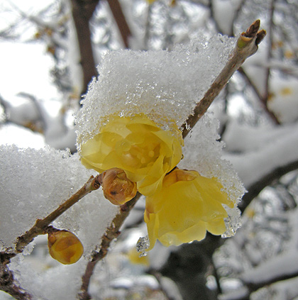 a0001354_22234111.jpg