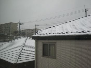 f0140257_0182163.jpg