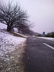 a0157160_21395449.jpg