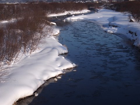 b0130166_20521215.jpg