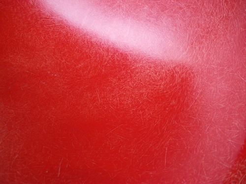 b0125570_10315855.jpg