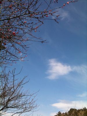 f0001378_210752.jpg