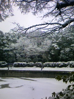 f0100480_21222039.jpg