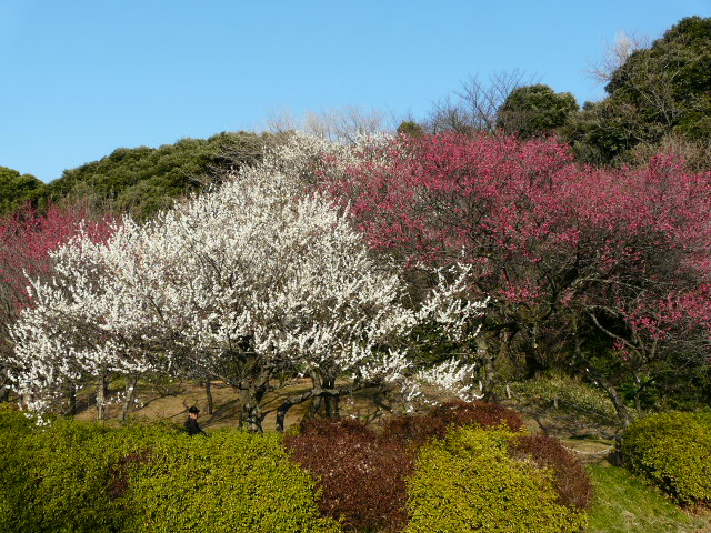e0145782_9123124.jpg