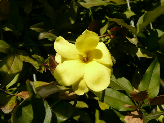 e0145782_9184357.jpg