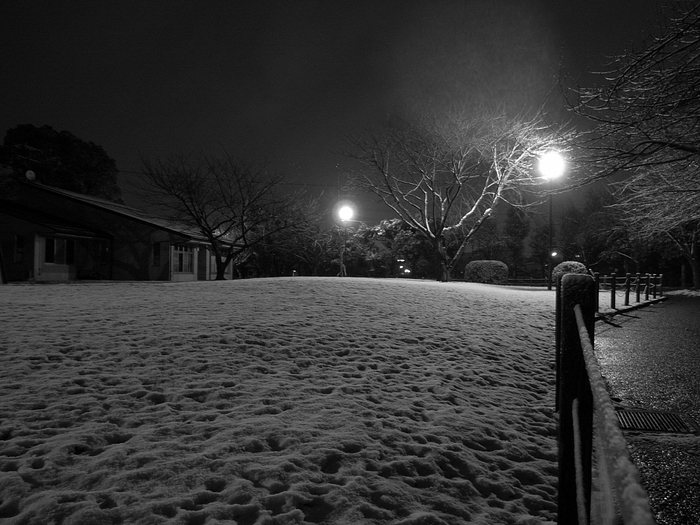 e0025893_0341712.jpg