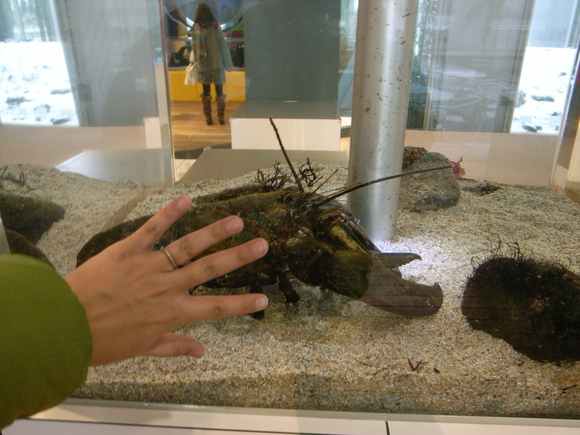 e0206394_2325656.jpg