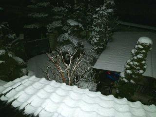 b0052195_21463721.jpg