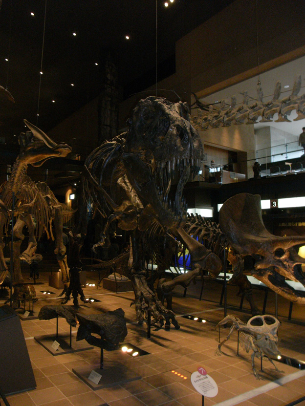 d0178795_9495332.jpg