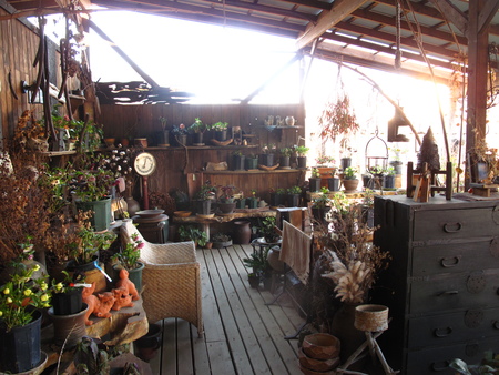 f0178897_17514948.jpg