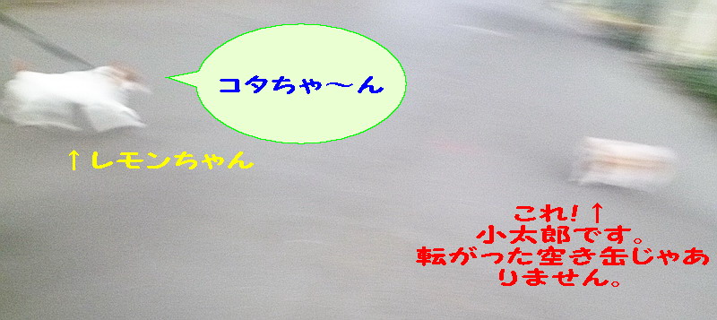 c0138198_9321179.jpg