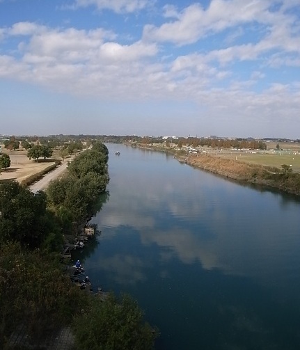 e0043700_12471574.jpg