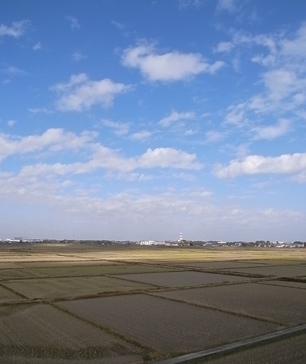 e0043700_12482949.jpg