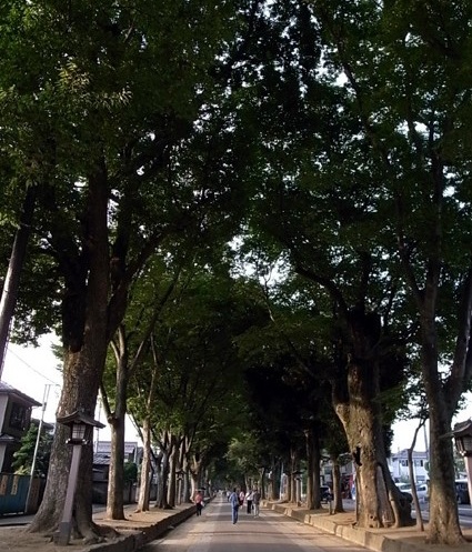 e0043700_1314372.jpg