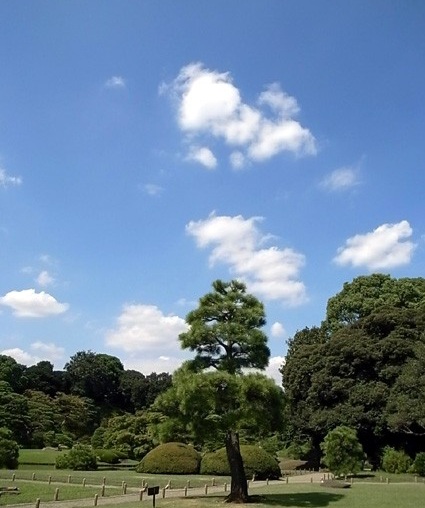 e0043700_13193749.jpg