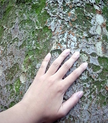 e0043700_13204882.jpg