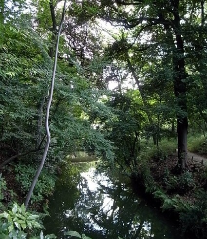 e0043700_1320696.jpg