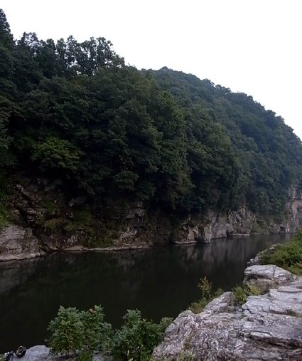 e0043700_13233351.jpg