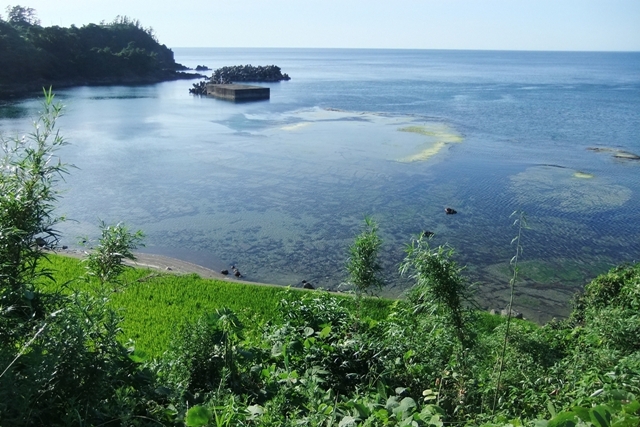 c0228404_6145747.jpg
