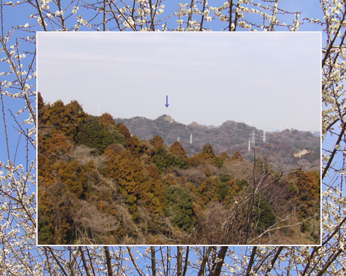 c0051105_14595434.jpg
