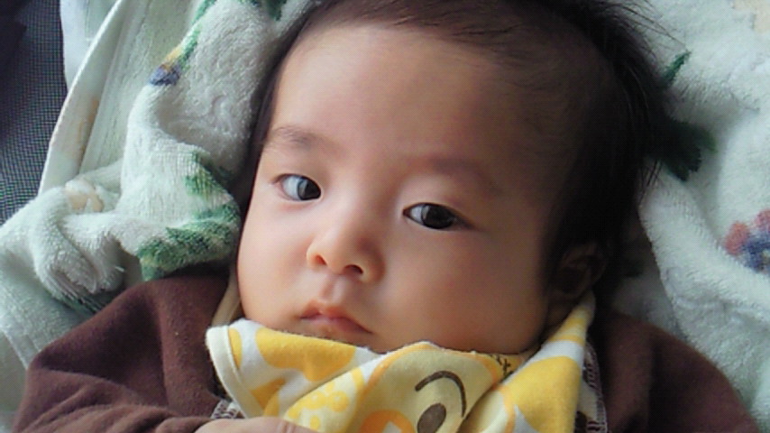 d0149105_1605450.jpg