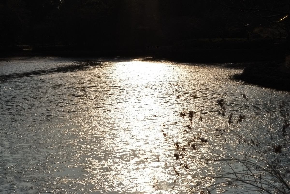 e0224407_206369.jpg