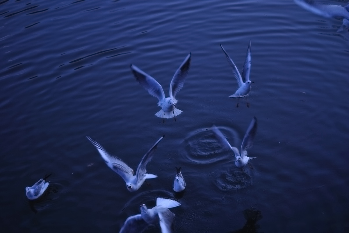 e0224407_2091732.jpg