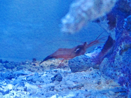 d0114808_2119064.jpg