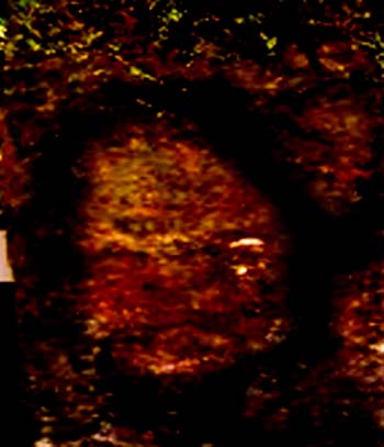 e0103408_183729100.jpg